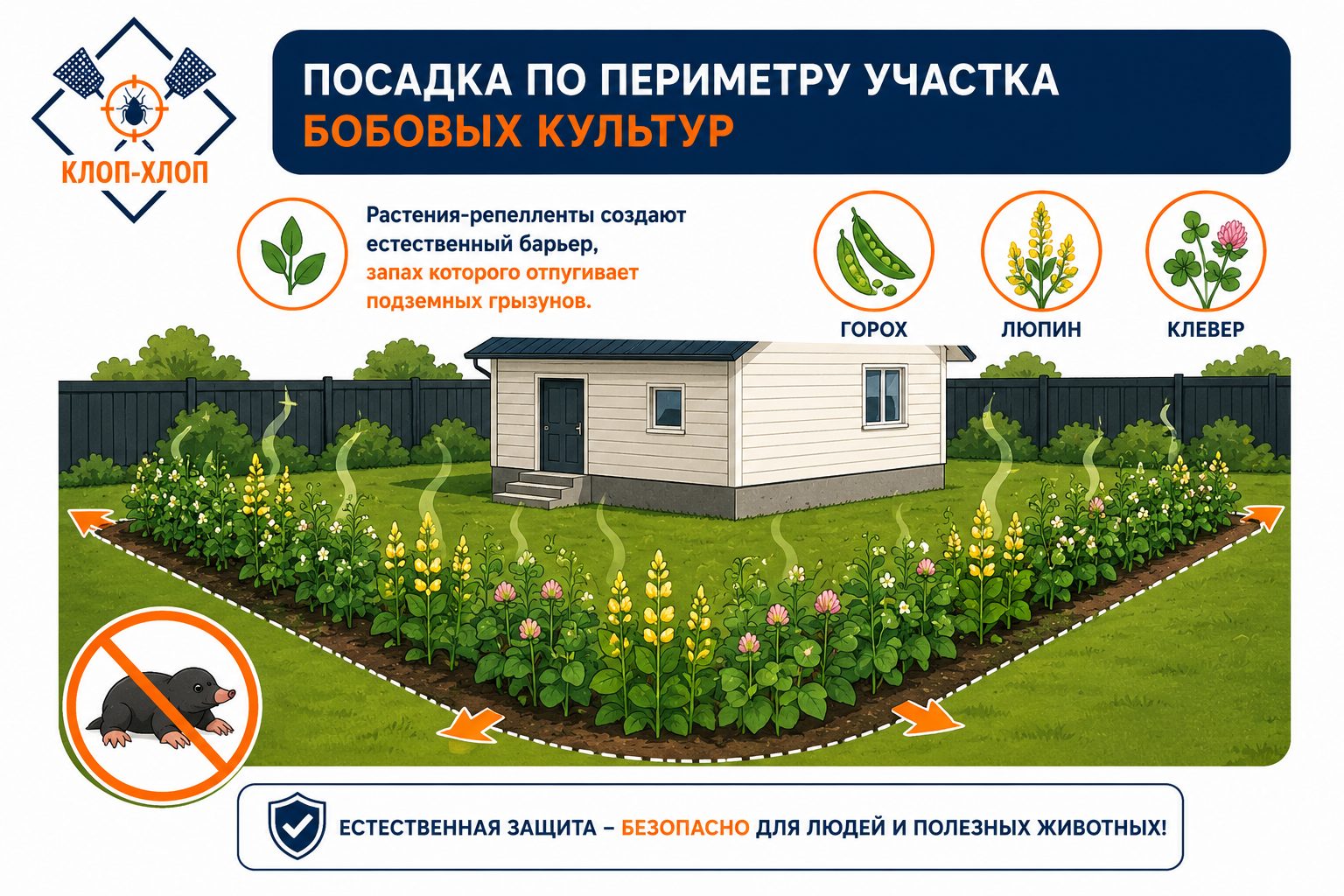 Растения для отпугивания кротов