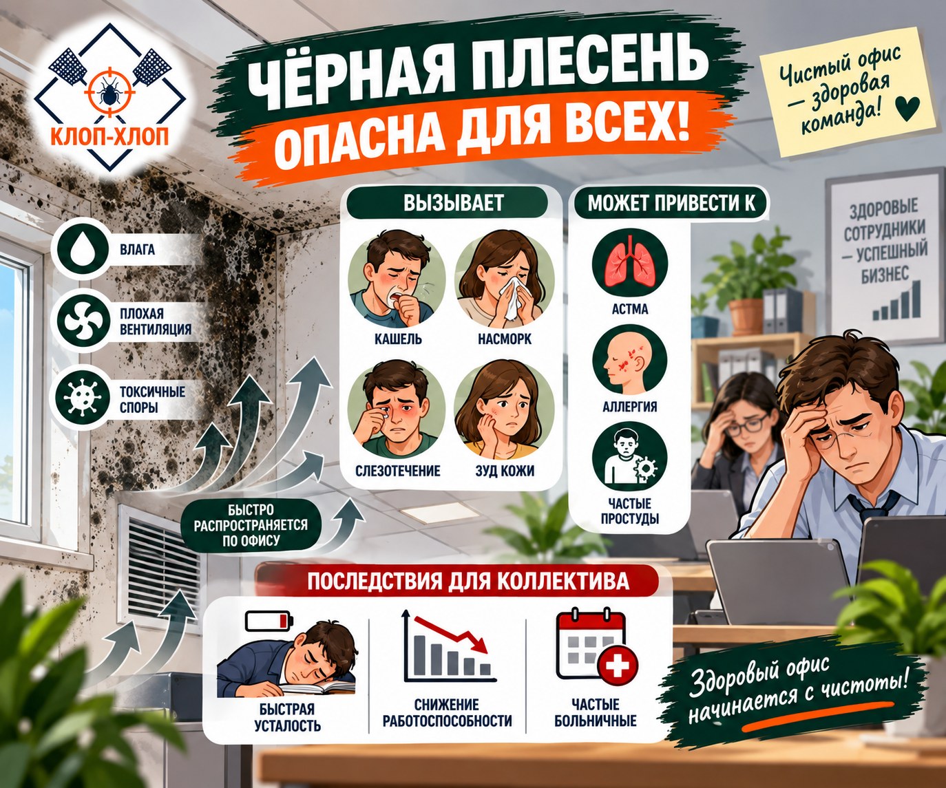 Как избавиться от черной плесени в офисе?