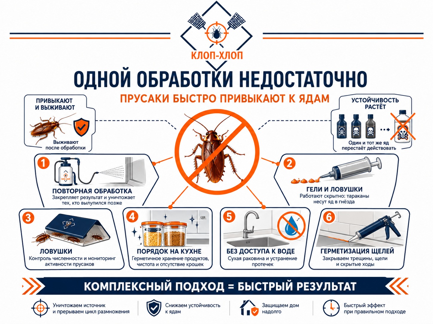 Тотальная чистота от рыжих тараканов