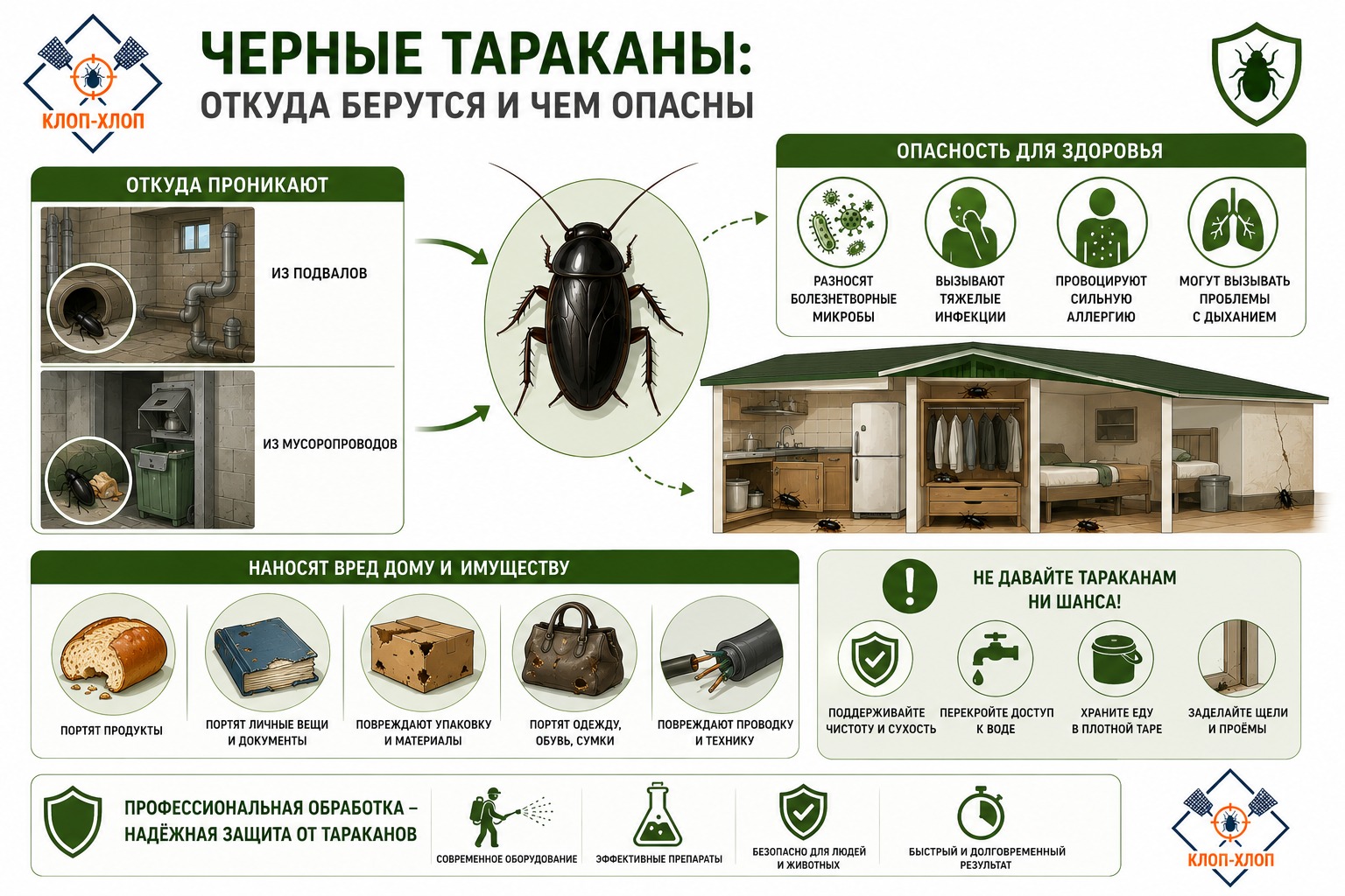 Чем опасны черные тараканы для здоровья и имущества