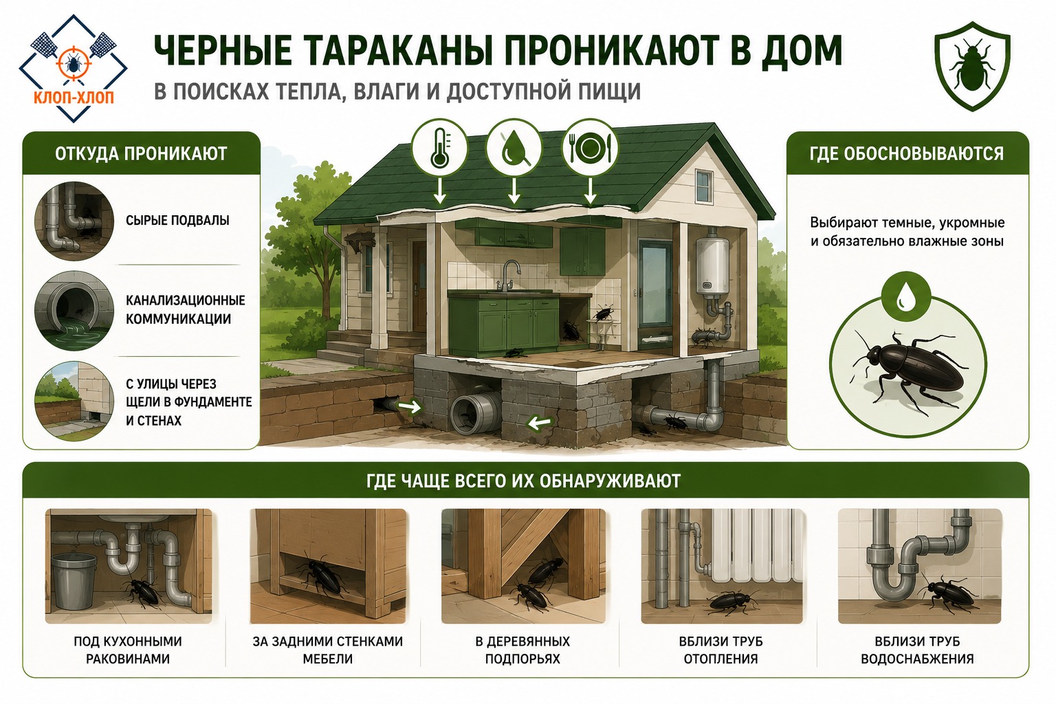 Почему в частном доме появляются черные тараканы и где они прячутся