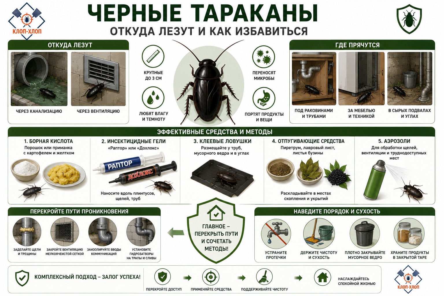 Методы истребления черных тараканов